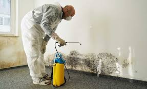 Best Asbestos and Lead Testing During Mold Inspection in Clton, IN