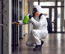  Clton, IN Mold Removal Pros